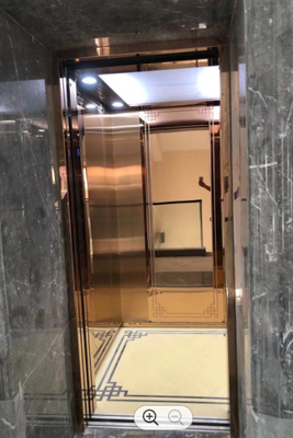 Компакта лифтов 250KG 0.3m/s ФУДЗИ подъем гидравлического гидравлический домашний