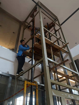 лифт людей лифта 4 дома 0.63m/s 320KG Shaftless жилой стеклянный